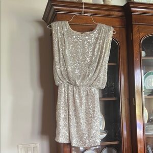 DO+BE Silver Sequin Dress